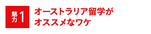 魅力1 オーストラリア海外研修がオススメなワケ