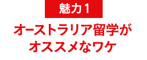 魅力1 オーストラリア海外研修がオススメなワケ