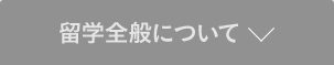 海外研修全般について