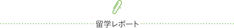 海外研修レポート