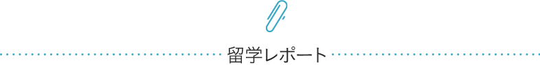 海外研修レポート