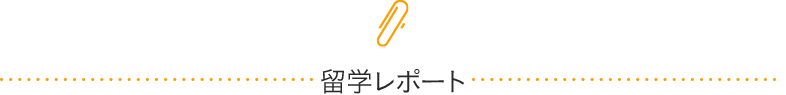 海外研修レポート