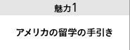 魅力１ アメリカ海外研修の手引き