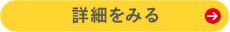 詳細をみる